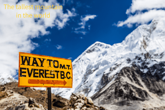 Everest - Why Seafloor Fossils Top the World’s Highest Peak - Japanstones.shop