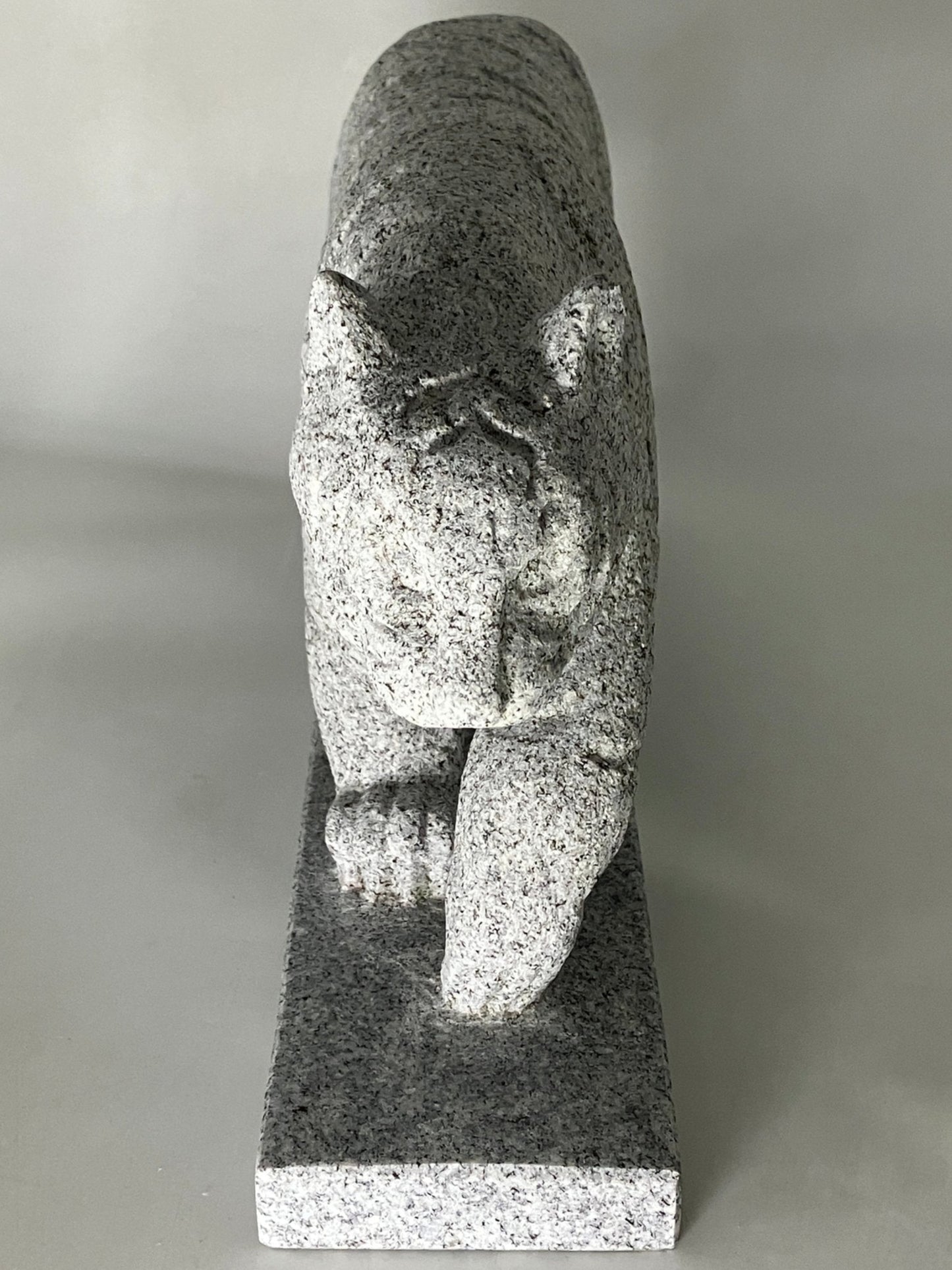 Tiger stone - japanstones.shop