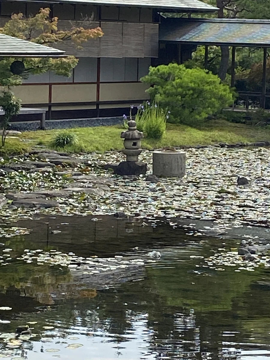 Nagoya, Japan Garden Visit Report 2026 No.1 Shirotori Garden