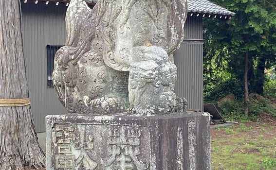 Aichi, Japan Shrine Visit Report 2026 Kota Town No.1 Hachimansha