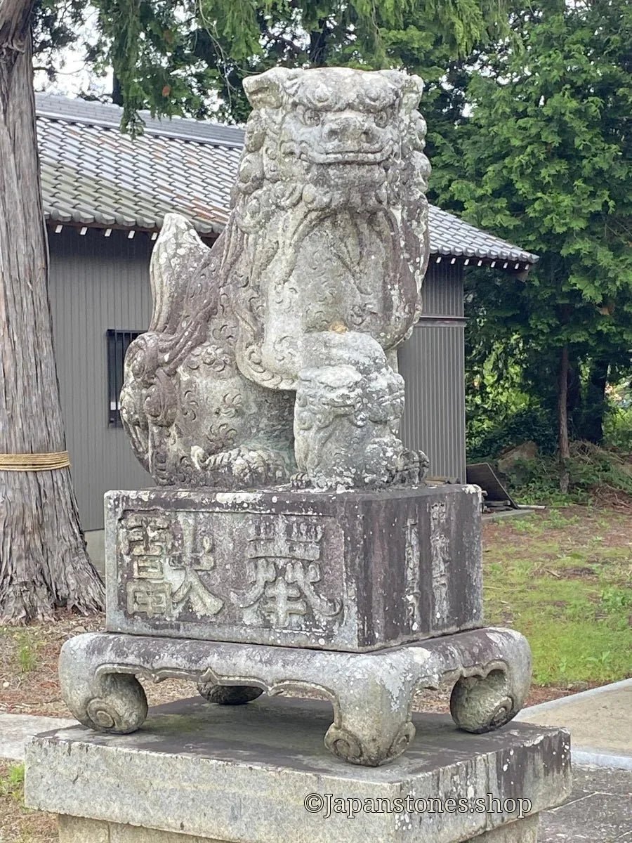 Aichi, Japan Shrine Visit Report 2026 Kota Town No.1 Hachimansha - Japanstones.shop