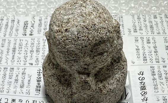 DHL Express Shipping to the United States: Micro Jizo Packaging (H 3.5 in, 0.9 lb) — Photo Log (Japan)