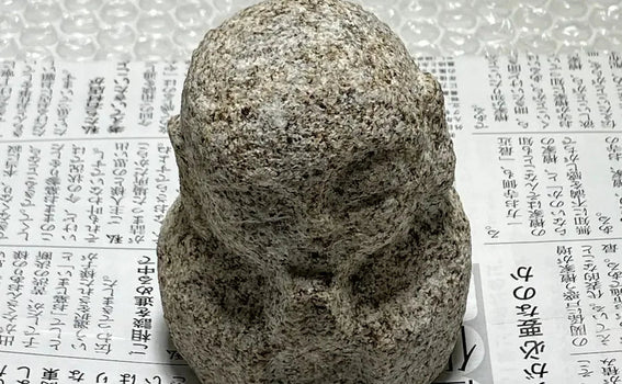 DHL Express Shipping to the United States: Micro Jizo Packaging (H 3.5 in, 0.9 lb) — Photo Log (Japan)