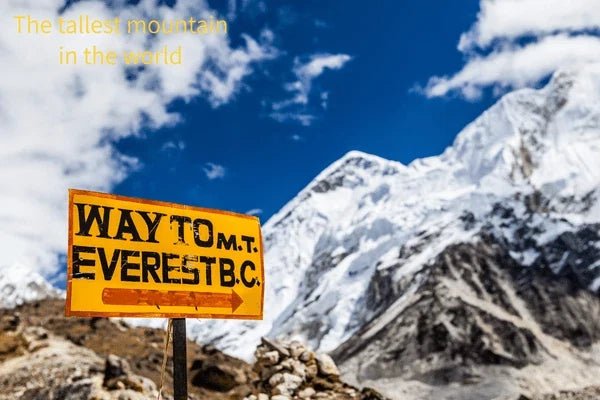 Everest - Why Seafloor Fossils Top the World’s Highest Peak - Japanstones.shop