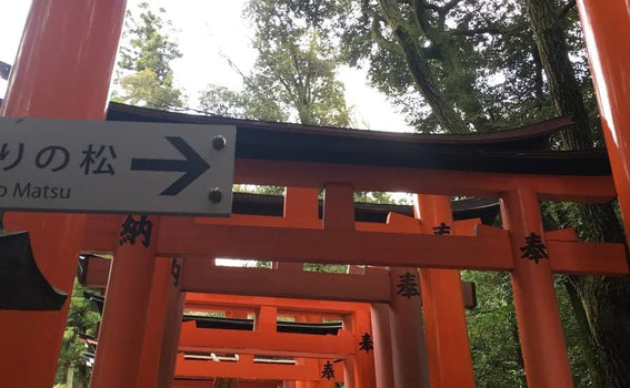 Japan Has No State Religion — A Nation Where Prayer Became Culture