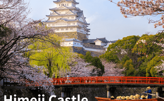Japanese Castles vs European Castles - Wood, Stone Walls, and the Culture Behind Them