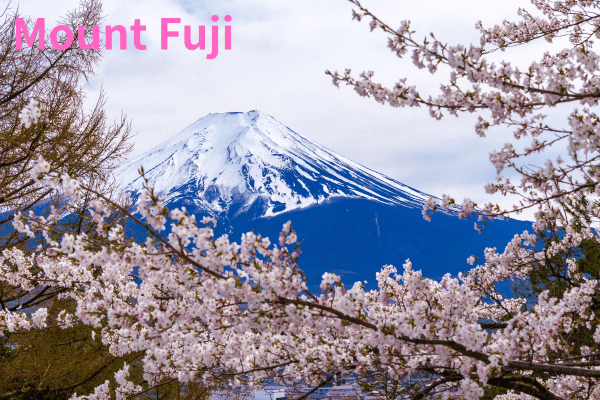 Mount Fuji - World Heritage Geology, White Slopes Explained, Eruptions