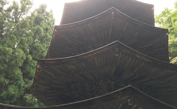 Nagano, Japan Temple Visit Report 2017 Ueda No.1 Anrakuji