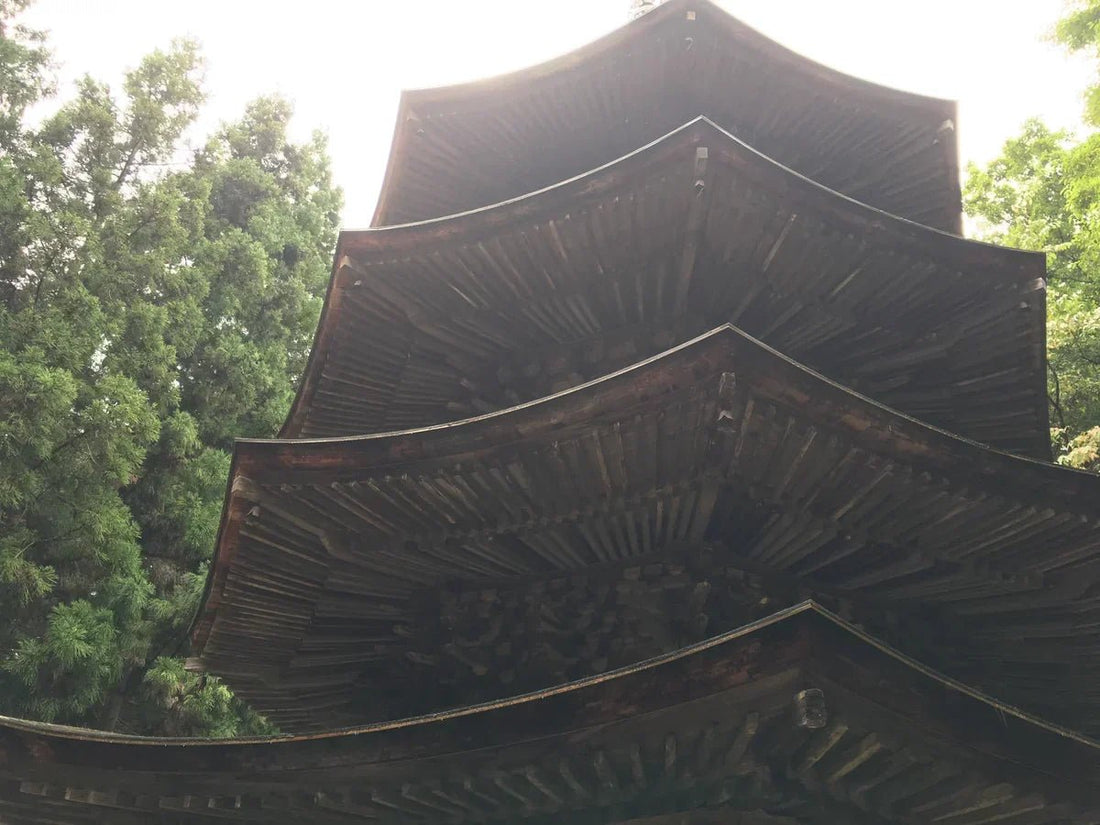 Nagano, Japan Temple Visit Report 2017 Ueda No.1 Anrakuji - Japanstones.shop