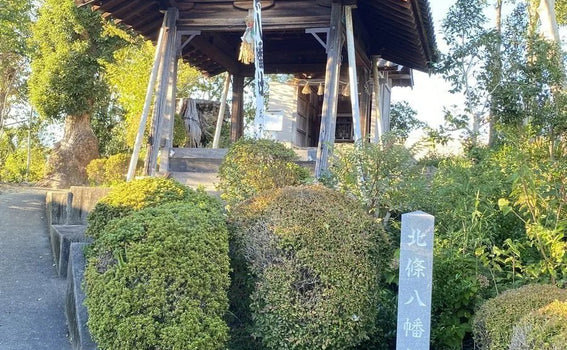 Nagoya, Japan Shrine Visit Report 2025 Mizuho No.2 Hojo Hachiman Shrine