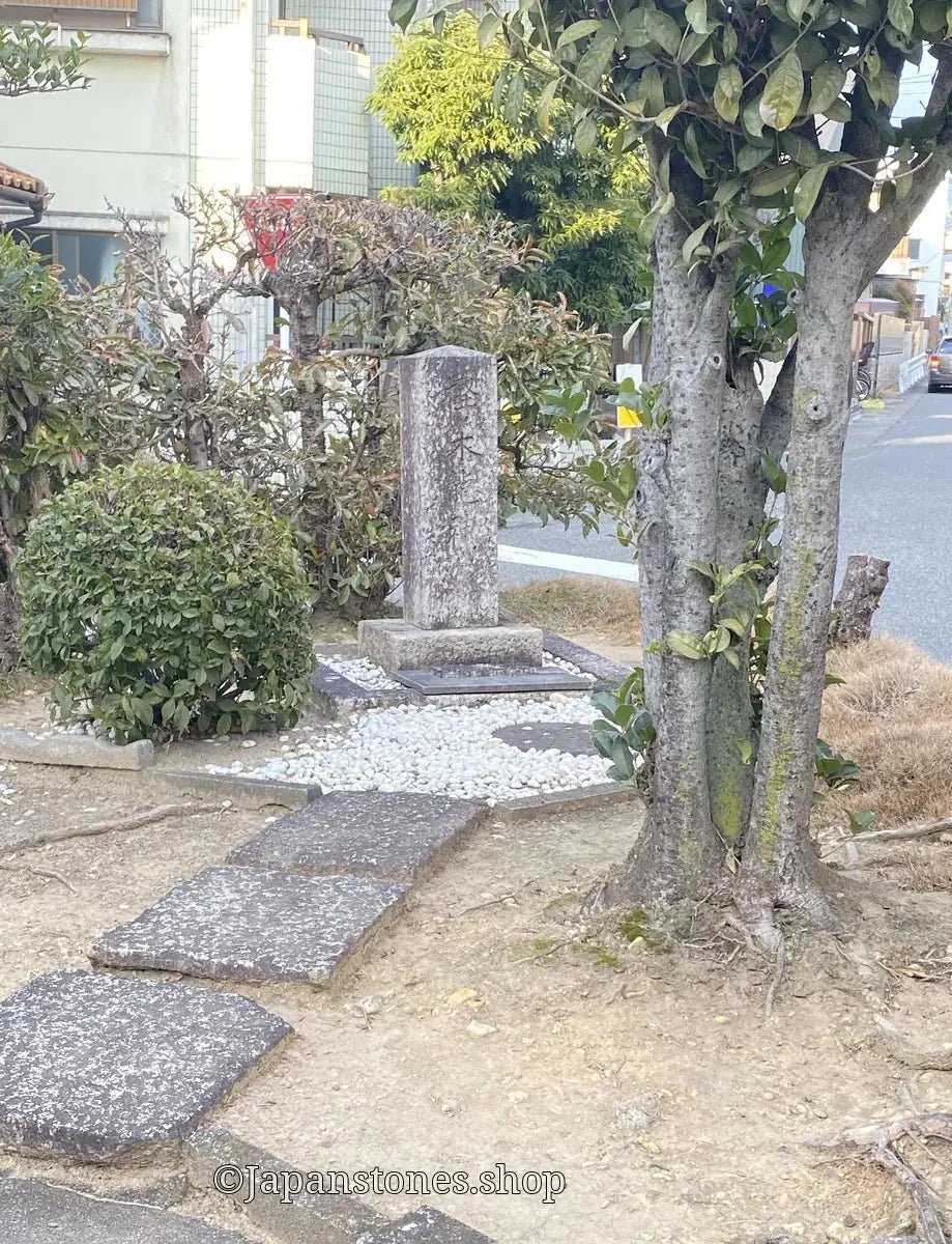 Nagoya, Japan Shrine Visit Report 2026 Showa No.5 Kashinoki-Ryujin - Japanstones.shop