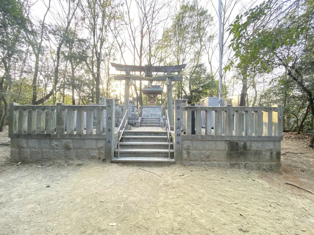 Nagoya, Japan Shrine Visit Report 2026 Tenpaku No.12 Nakayama Jinja - Japanstones.shop