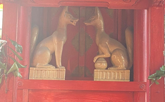 Nagoya Shrine Visit Report 2025 Mizuho No.12 Ganmichi Fushimi Inari