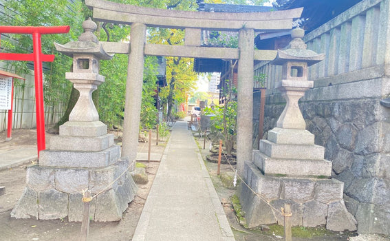 Okazaki Shrine Visit Report 2025 No.3 Sugou Shrine "A 380-year-old stone lantern"