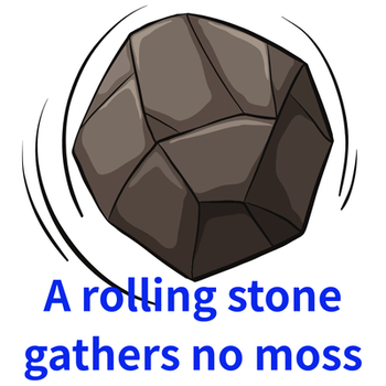 Stone Proverbs No.1 : A Rolling Stone Gathers No Moss