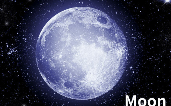 The Moon - A Fork After the Giant Impact