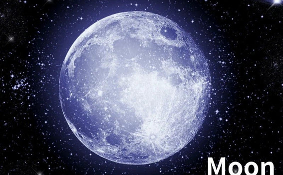 The Moon - A Fork After the Giant Impact