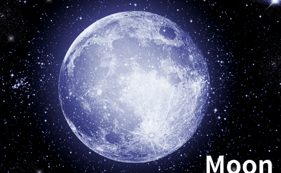 The Moon - A Fork After the Giant Impact