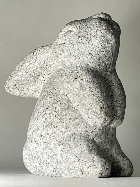 Stone Rabbit
