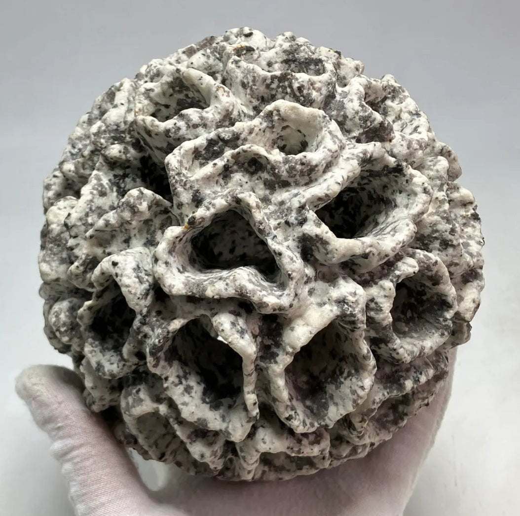 stone - japanstones.shop