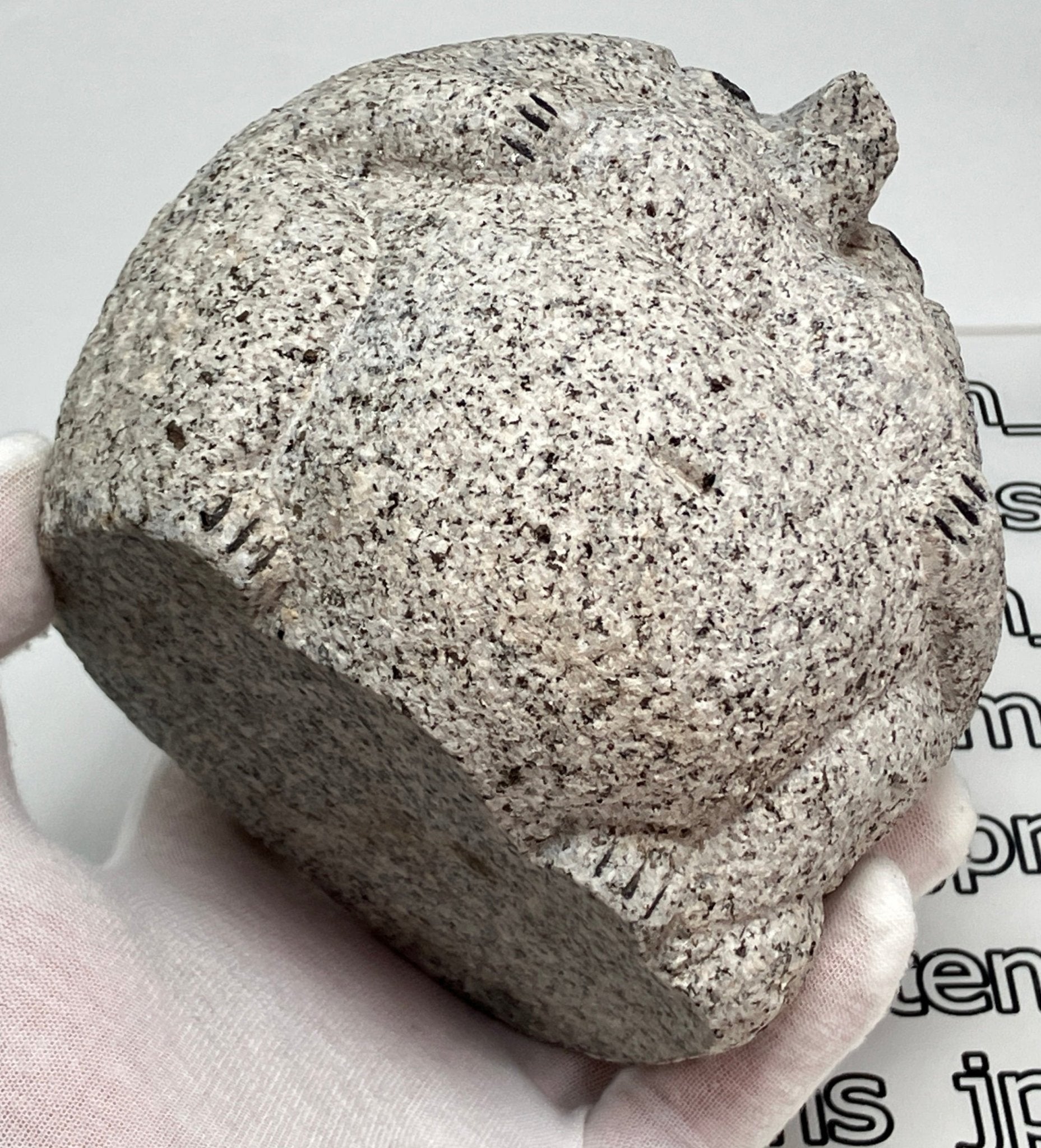Female Tanuki Statue Hand-Carved Granite Stone Japanese Raccoon Dog - japanstones.shop